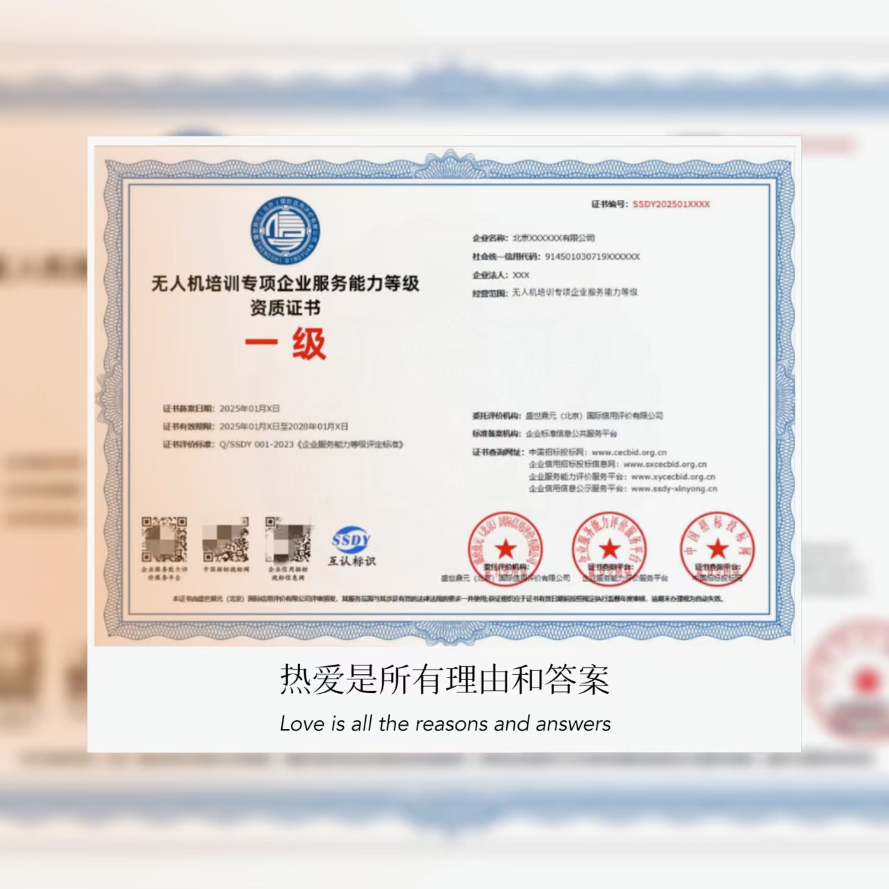 无人机培训专项企业服务资质证书