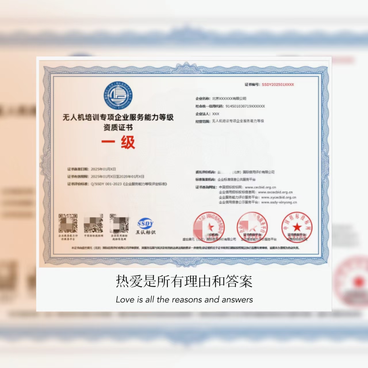 无人机培训专项企业服务能力等级