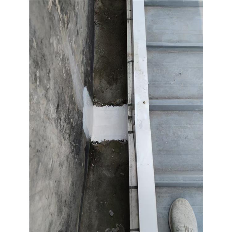 楼面补漏防水胶 快速修复 公司