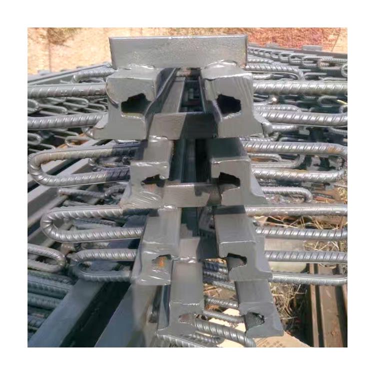 GQF-MZL  SQ型伸缩装置 生产厂家 哈尔滨梳形板式桥梁伸缩缝