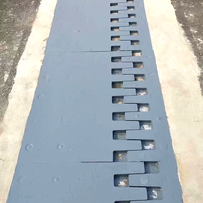 梳形板式桥梁伸缩缝装置 来图生产加工 长春桥面路面伸缩装置