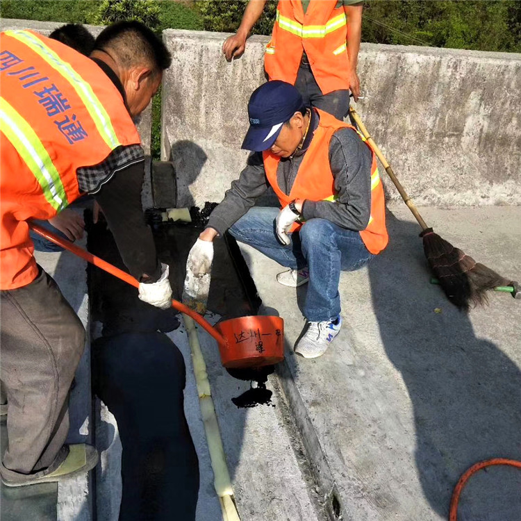 杭州桥梁工程用桥面板式伸缩装置 组合式伸缩缝 生产厂家