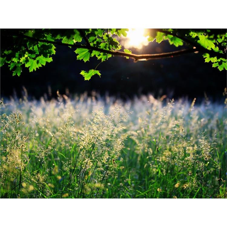 长沙启迪未来高考复读学校联系电话