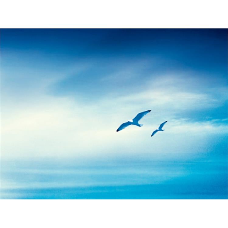 长沙牛耳软件学院在哪里