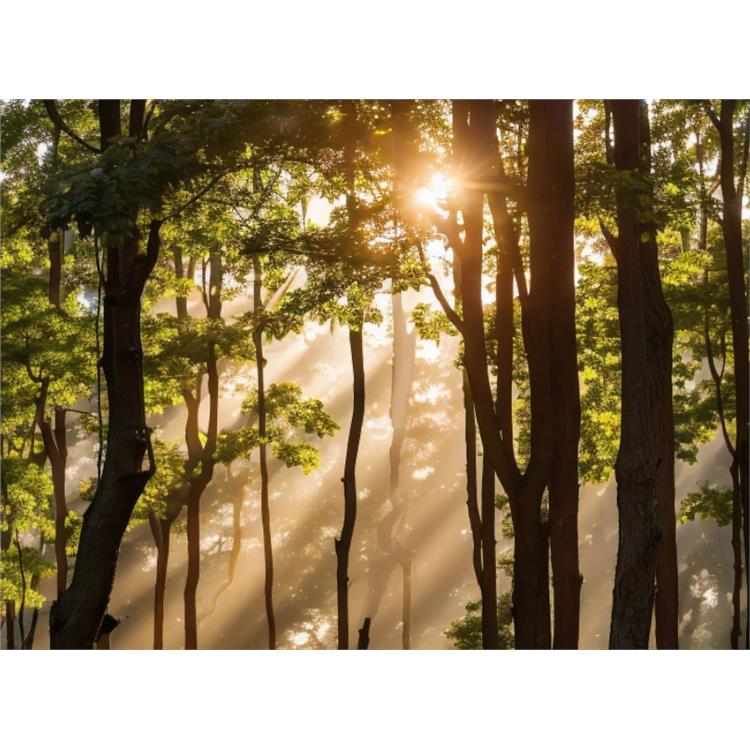 湖南铁航信息技工学校联系电话