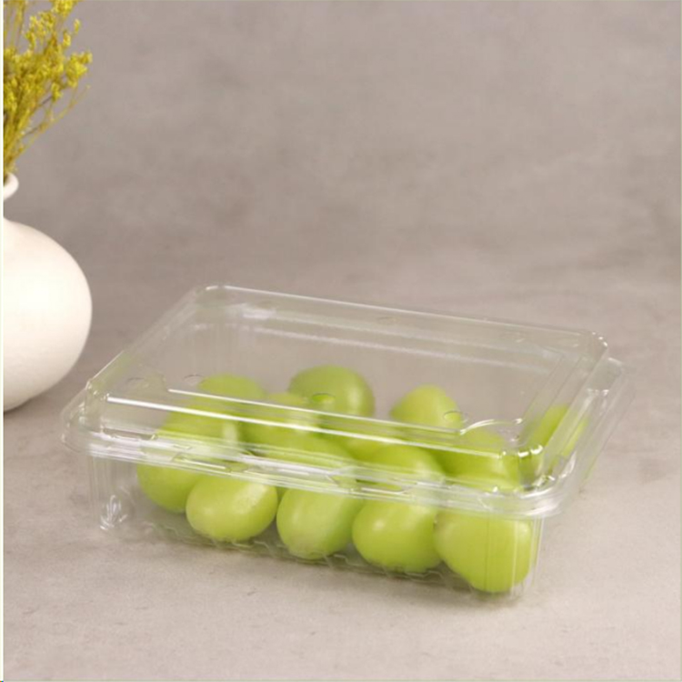 淮南生鲜吸塑打包盒