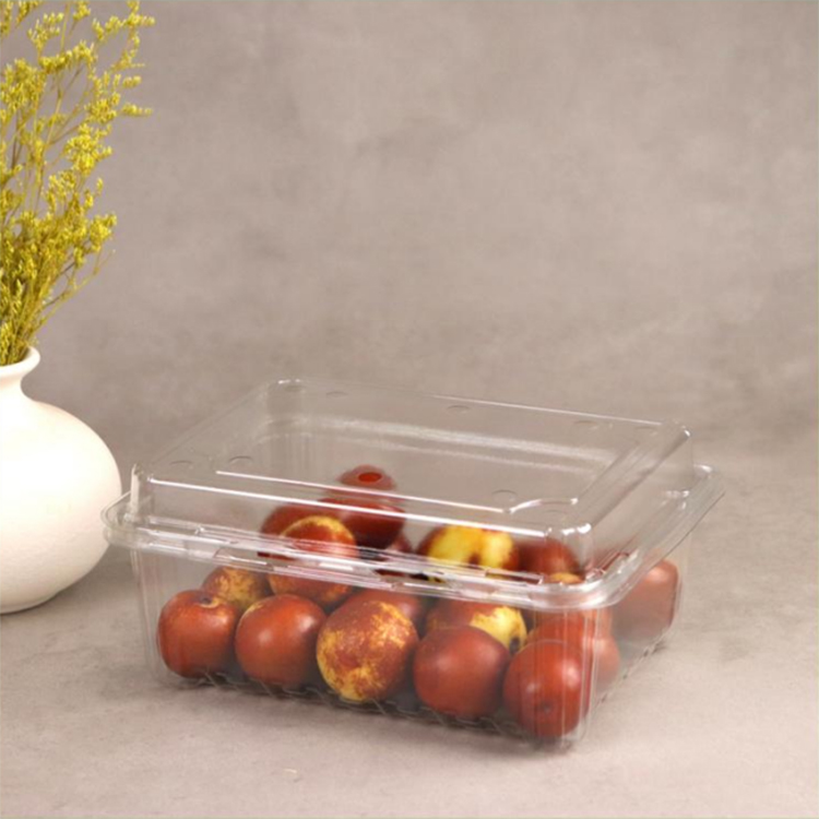 白山一次性水果托盘