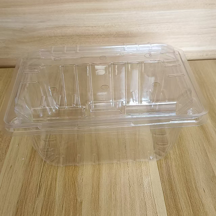 安顺塑料水果盒