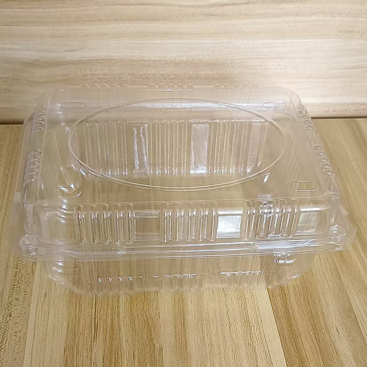 宜昌塑料打包盒