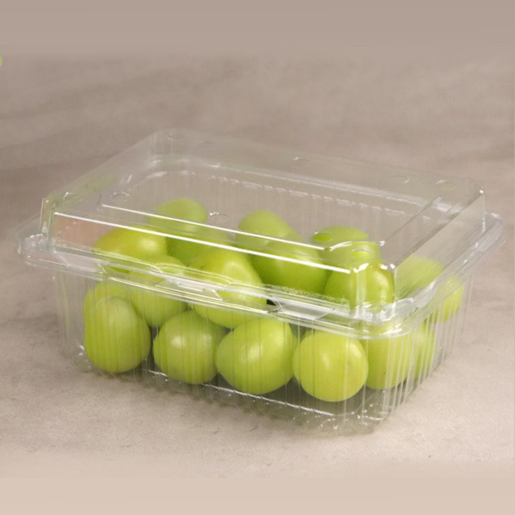 吉林环保果切盒