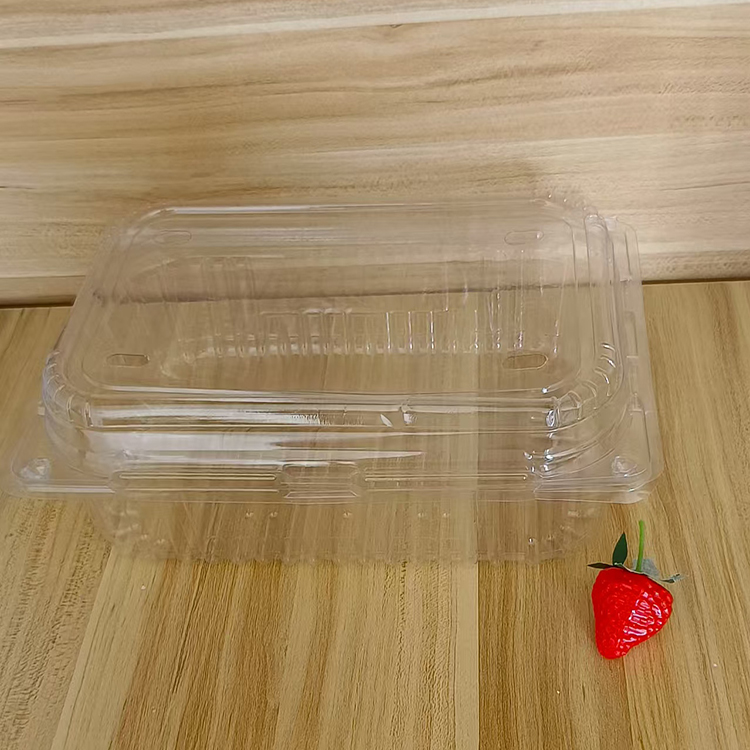 定安县吸塑包装盒