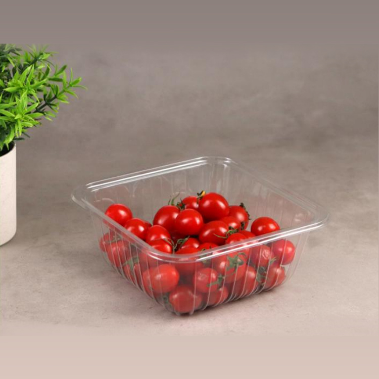 怀化环保果切盒