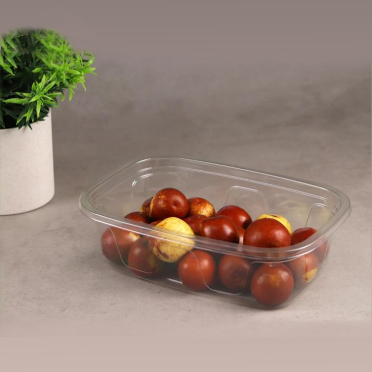 江门环保果切盒