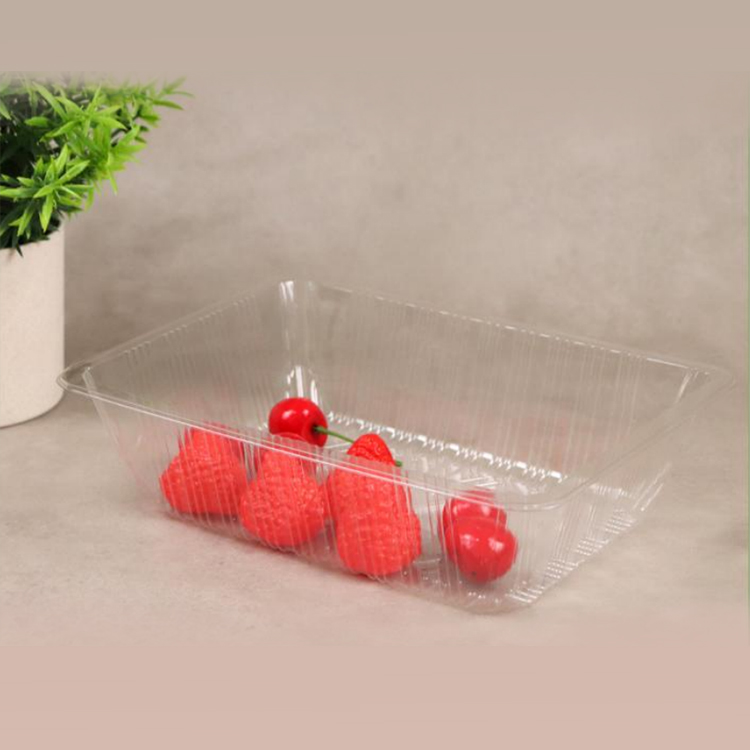 黔西南吸塑打包盒