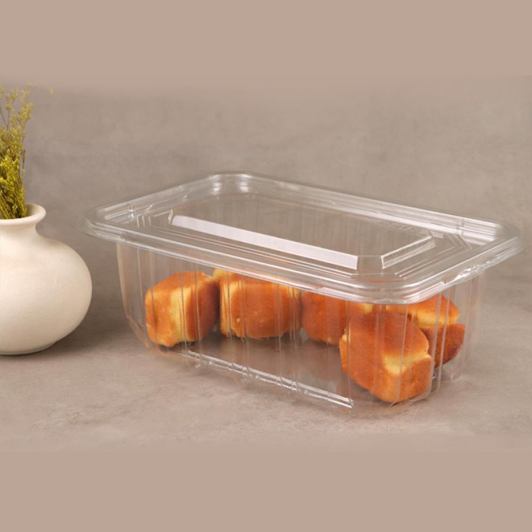 重庆透明塑料糕点盒