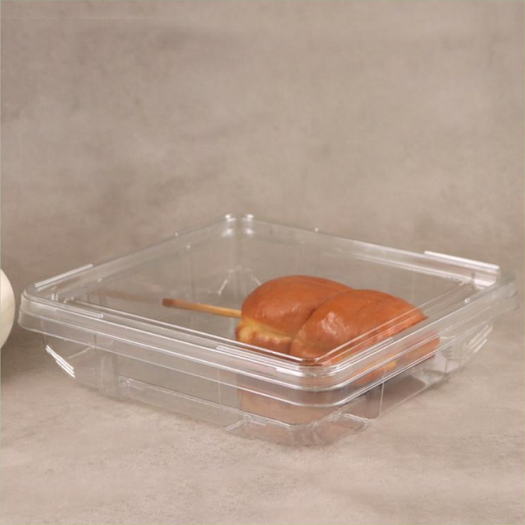 广元一次性吸塑包装盒