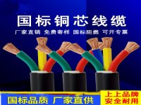上上电缆 RVV多芯护套线 家装多股电线1 1.5 2.5 4 6平方